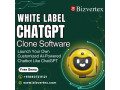 build-your-brands-ai-identity-with-white-label-chatgpt-software-small-0