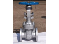 gate-valves-in-kolkata-small-0